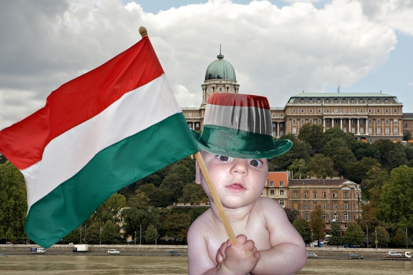 Creation of baby turist: Step 4